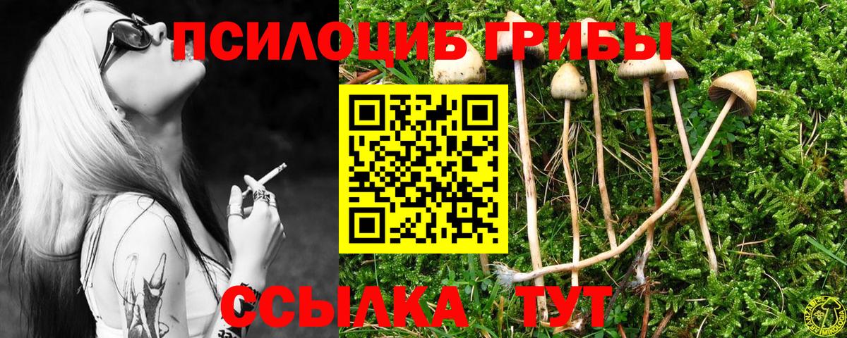 Семилуки  Галлюциногенные грибы мицелий  как найти   Вход с VPN  Псилоцибиновые грибы мухоморы 