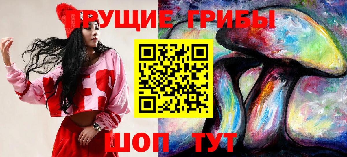 Псилоцибиновые грибы Psilocybe Семилуки